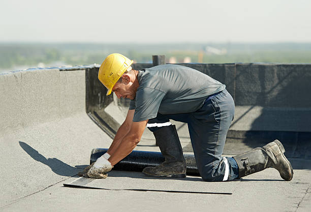 Best Attic Insulation Installation  in Fennimore, WI